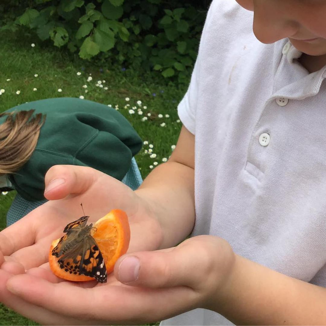 pupil holding a butterfly